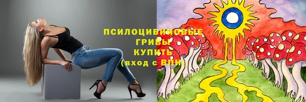 spice Алексеевка