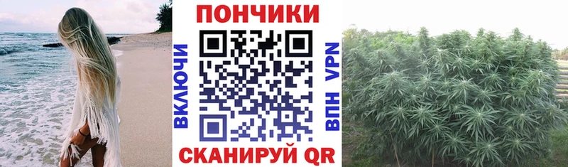 OMG ссылки Нелидово Шишки марихуана конопля